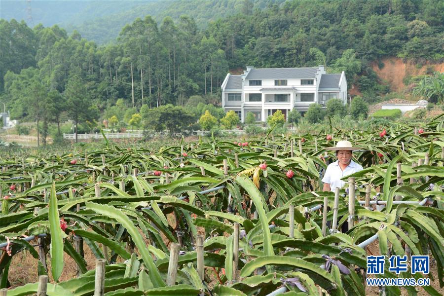 （在習(xí)近平新時(shí)代中國(guó)特色社會(huì)主義思想指引下——新時(shí)代新作為新篇章·總書記關(guān)心的百姓身邊事·圖文互動(dòng)）（6）大污染變身“大寶藏”：治理畜禽糞污，他們這樣干,！