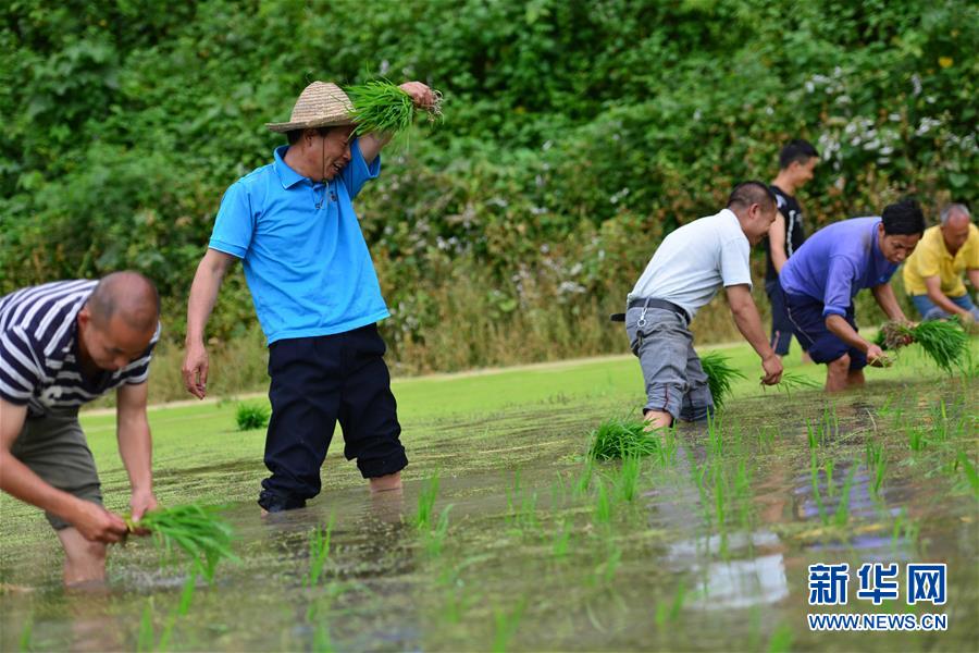 （新華全媒頭條·圖文互動）（8）干部去哪兒了？——貴州干部大規(guī)模下沉脫貧攻堅一線紀(jì)實