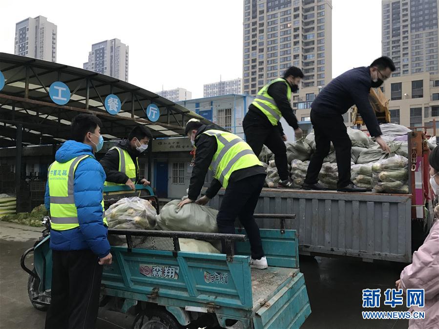 （一線抗疫群英譜·圖文互動）（2）“面對疫情，我們能做點啥,？”——“蘿卜哥”朱海洋的擔當