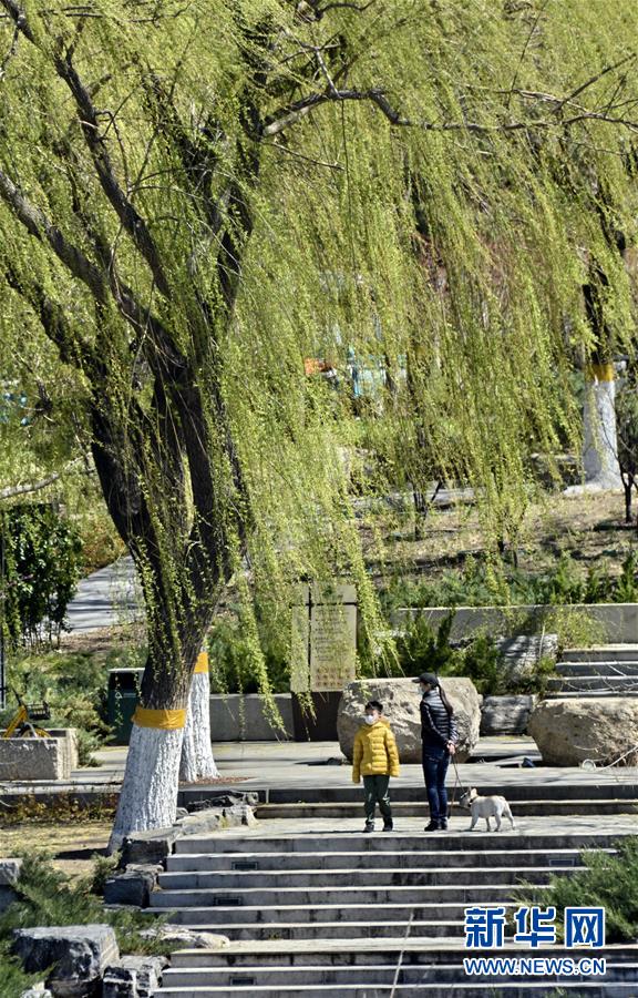 （新華全媒頭條·圖文互動）（6）永遠的夢想 永恒的追求——寫在北京世園會開幕一周年之際