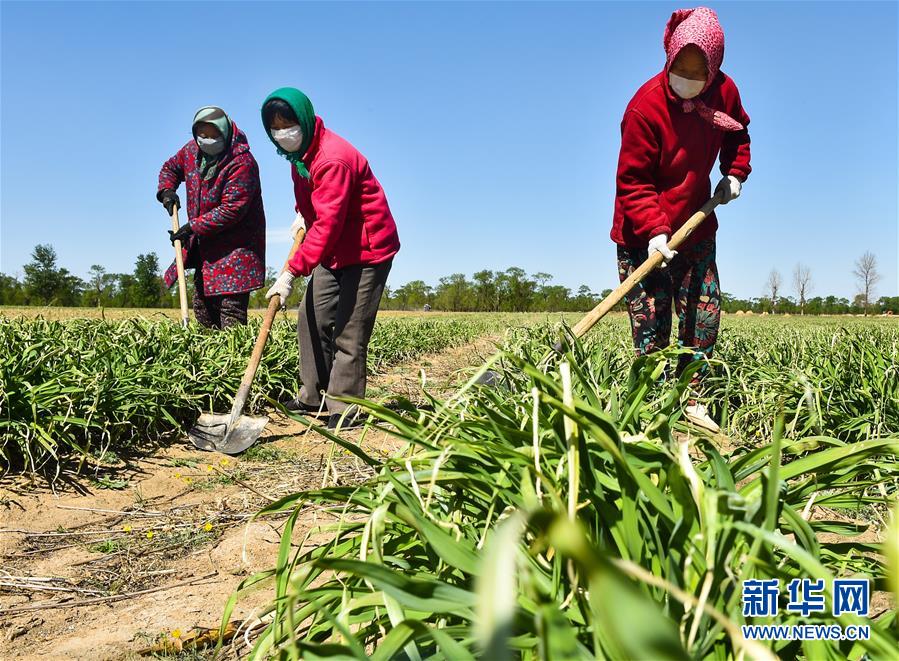 （新華全媒頭條·圖文互動(dòng)）（17）從人民中汲取磅礴力量——習(xí)近平總書(shū)記同出席2020年全國(guó)兩會(huì)人大代表、政協(xié)委員共商國(guó)是紀(jì)實(shí)