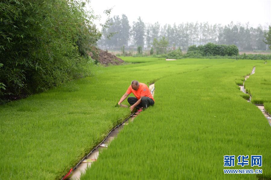 （圖文互動(dòng)）（2）“以萬(wàn)全準(zhǔn)備防萬(wàn)一發(fā)生”——安徽沿淮地區(qū)防汛備汛見(jiàn)聞