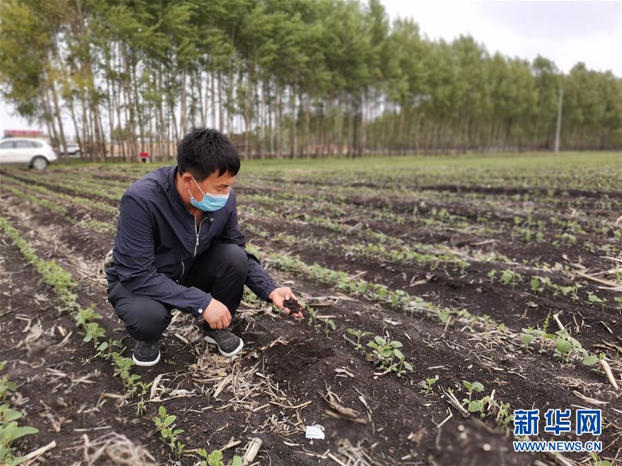 （在習近平新時代中國特色社會主義思想指引下——新時代新作為新篇章·習近平總書記關(guān)切事·圖文互動）（6）讓每一寸耕地都成為豐收的沃土——我國加強耕地保護推進“藏糧于地”