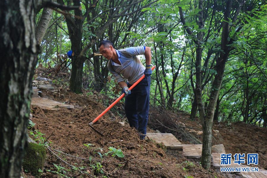 （決戰(zhàn)決勝脫貧攻堅(jiān)·圖文互動(dòng)）（2）問(wèn)林下要地 助“新市民”就業(yè)增收