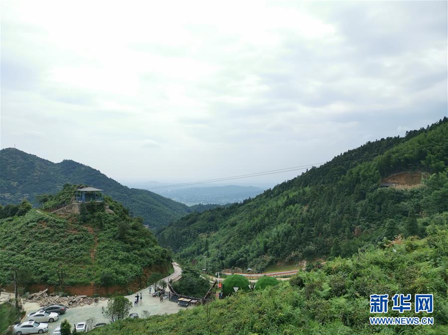 （走向我們的小康生活·圖文互動）（1）長沙：以“繡花功”精準(zhǔn)攻破“插花貧”