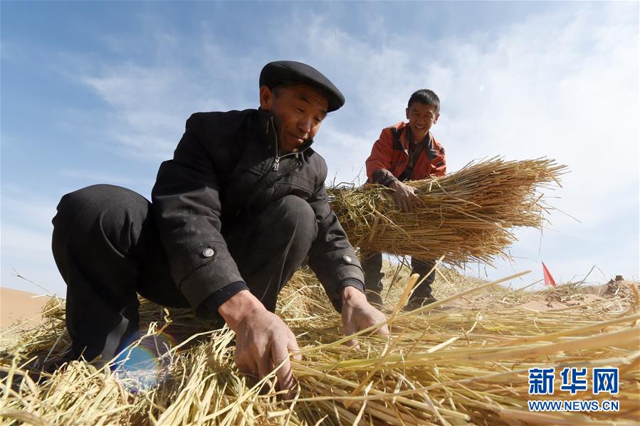 （在習(xí)近平新時(shí)代中國(guó)特色社會(huì)主義思想指引下——新時(shí)代新作為新篇章·習(xí)近平總書(shū)記關(guān)切事·圖文互動(dòng)）（5）綠色映底蘊(yùn)，山水見(jiàn)初心——生態(tài)優(yōu)先,、綠色發(fā)展持續(xù)造福群眾美好生活