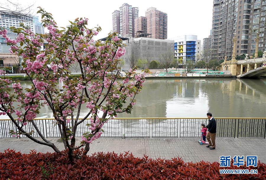 （新華全媒頭條·走向我們的小康生活·圖文互動）（12）城市,，讓人民生活更美好