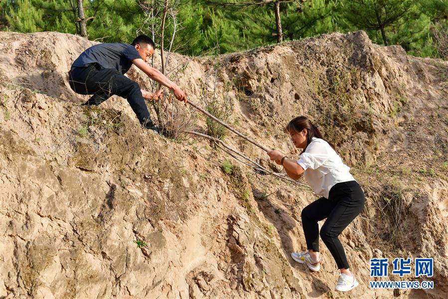 （新華全媒頭條·圖文互動）（5）黃土地上向陽花開——來自山西深度貧困地區(qū)的脫貧故事