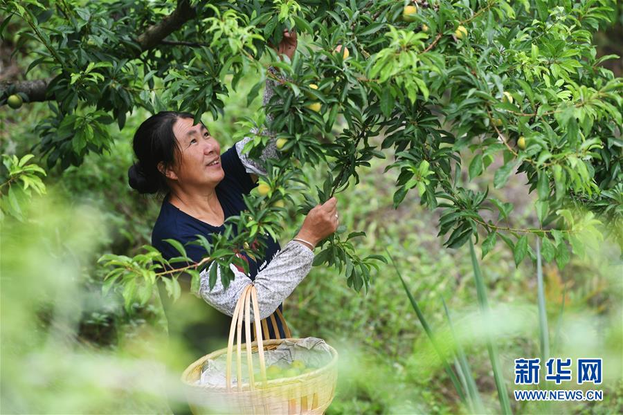 （新華全媒頭條·走向我們的小康生活·圖文互動）（7）大城大鄉(xiāng)的“幸福協(xié)奏曲”——重慶推動高質(zhì)量發(fā)展創(chuàng)造高品質(zhì)生活紀事