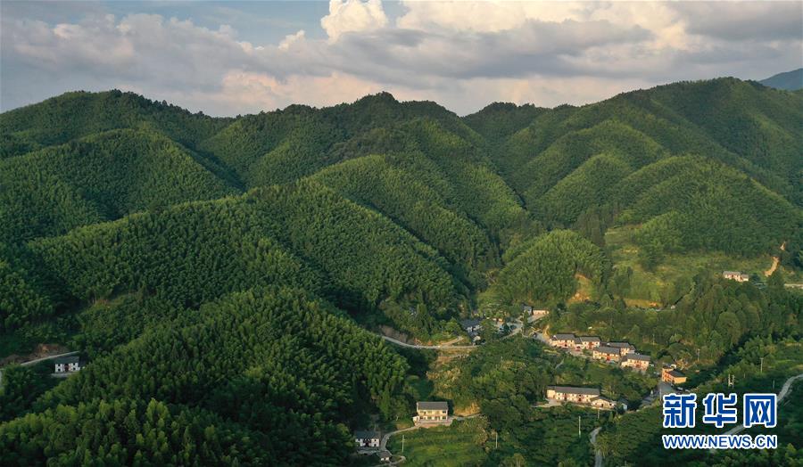 （新華全媒頭條·走向我們的小康生活·圖文互動）（2）神山村“神奇”何在,？——井岡山深處覓答案