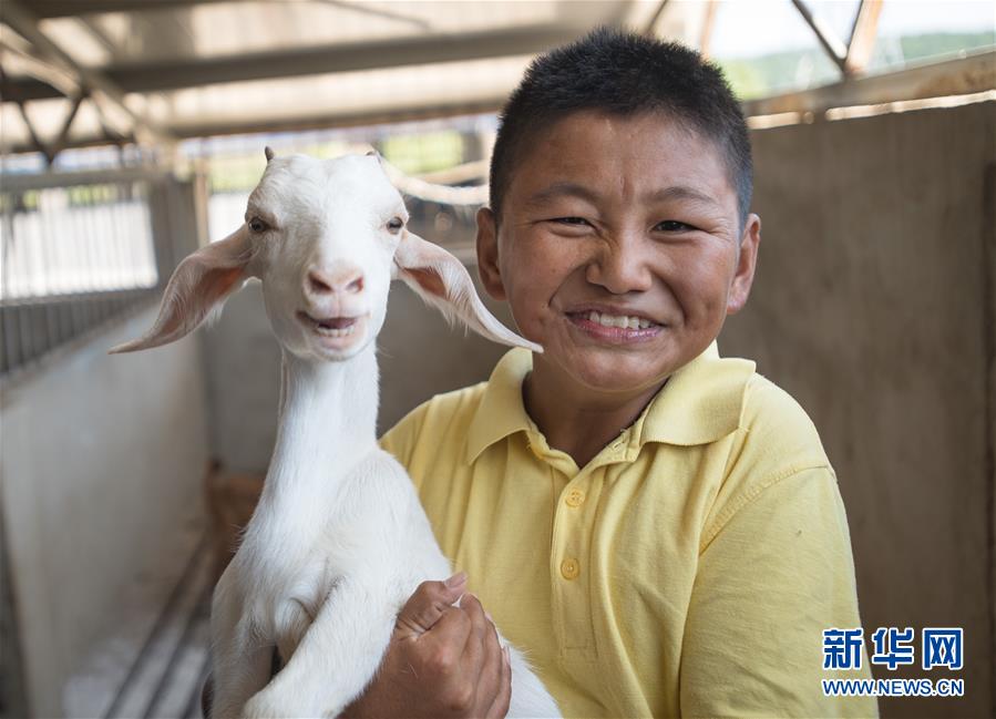 （新華全媒頭條·走向我們的小康生活·圖文互動）（5）特殊之年,，荊楚大地書寫不平凡的答卷