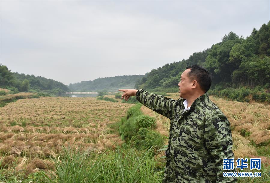 （代表委員履職·圖文互動）（2）“我是農(nóng)民代表,，始終關注農(nóng)村”——全國人大代表沈昌健的履職故事