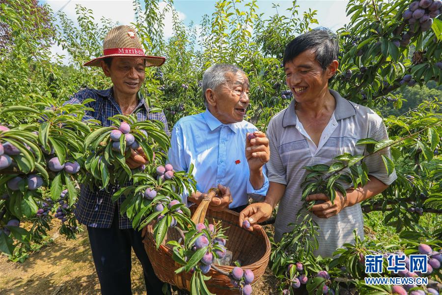 （新華全媒頭條·圖文互動）（1）凝聚民族復興的精神偉力——以習近平同志為核心的黨中央重視思想道德建設關心關愛道德模范紀實