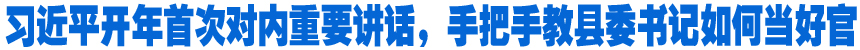 習(xí)近平開(kāi)年首次對(duì)內(nèi)重要講話,，手把手教縣委書(shū)記如何當(dāng)好官