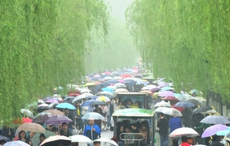 杭州：清明時(shí)節(jié)雨紛紛 西湖游客雨中游