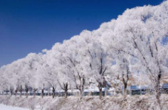 全國初雪時(shí)間表出爐 看看你離初雪還有多遠(yuǎn),？