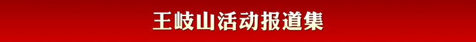 王岐山活動報道集