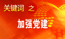 王京清：加強(qiáng)黨建必須倍加珍惜,、始終堅(jiān)持,、不斷發(fā)展