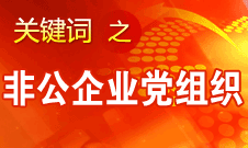 王京清：非公企業(yè)建立黨組織服務(wù)企業(yè)發(fā)展,、服務(wù)員工