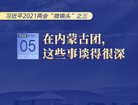 習(xí)近平2021兩會“微鏡頭”之三 3月5日 在內(nèi)蒙古團(tuán),，這些事談得很深