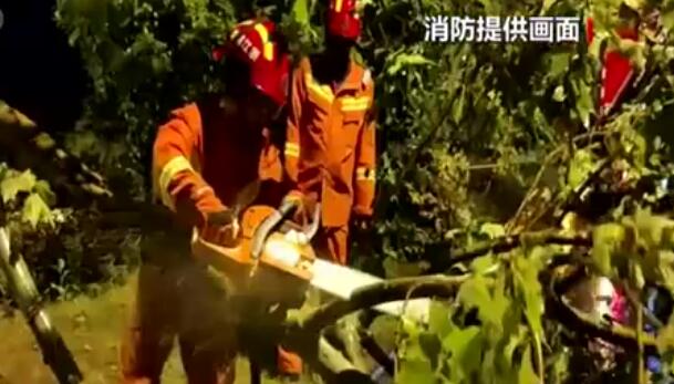 浙江金華：狂風(fēng)暴雨來襲 消防人員化解多起險情