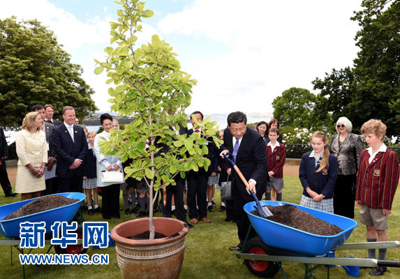 11月18日,，國家主席習近平在澳大利亞塔斯馬尼亞州與朗塞斯頓市斯科奇－歐克伯恩小學的小學生共同植樹,。新華社記者 饒愛民 攝