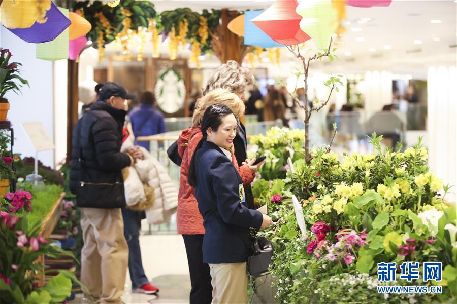 （國(guó)際）（6）紐約：“春日童話”花展亮相梅西百貨