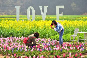 春暖花開迎客來